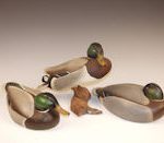 wardMallards.jpg