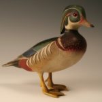 standingwoodduck.jpg
