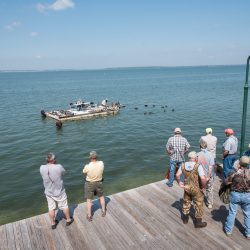 People standing on pier watching decoys