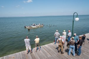 People standing on pier watching decoys