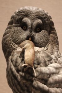 Large owl with mouse in its beak
