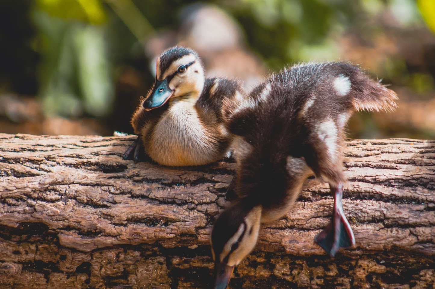 Youth- Honorable Mention- You First by Riley Watson