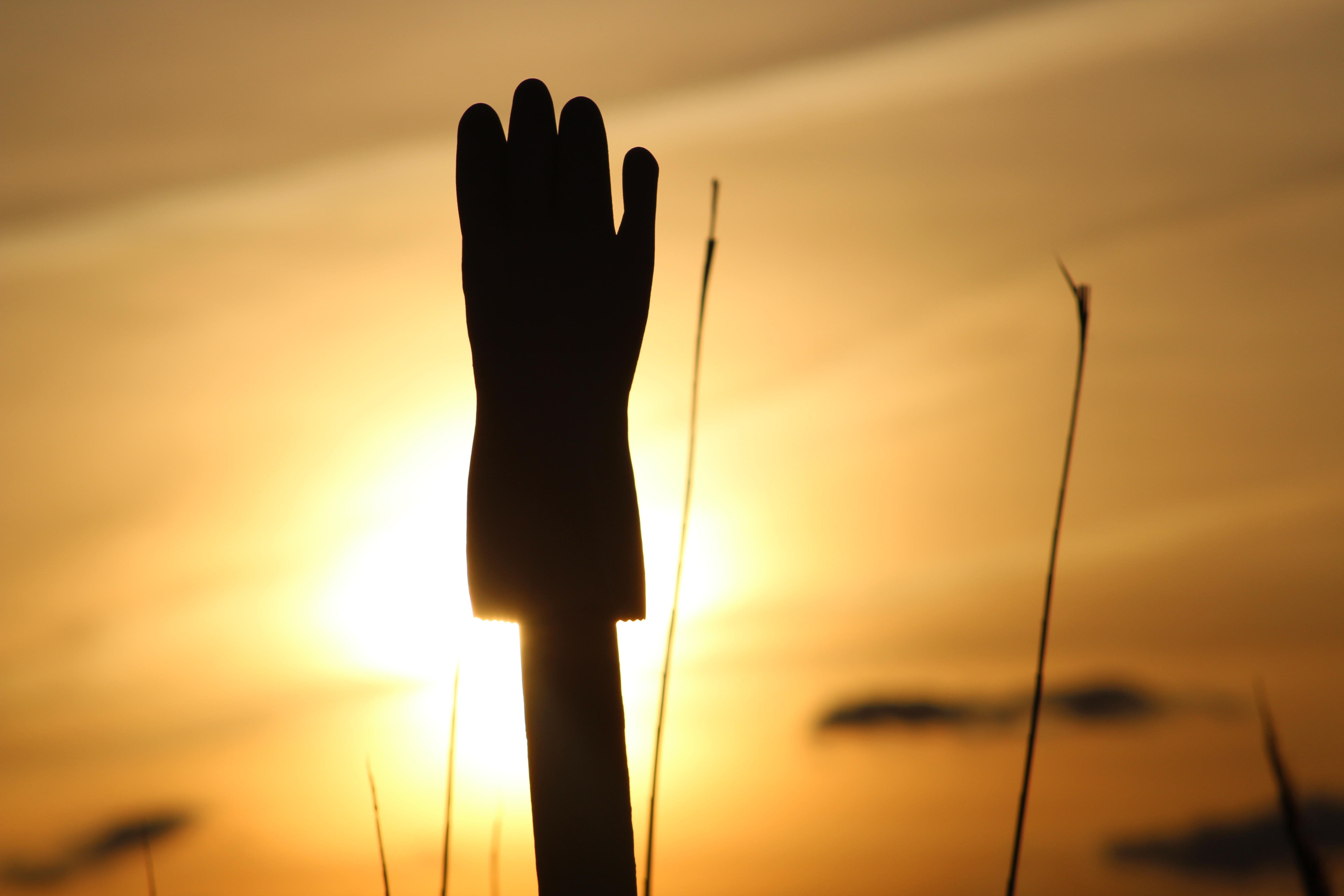 Youth- Honorable Mention- To Touch the Sun by Emily Dize