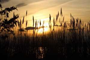 Youth- Honorable Mention- The Sun's Marsh Land by Emily Dize