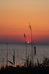 Youth- Honorable Mention- Cool Marsh Night by Emily Dize