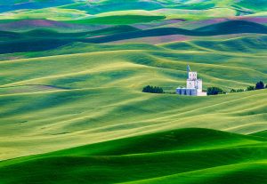 Professional - 2nd Best in Category- Landscape- Granery by Beamie Young