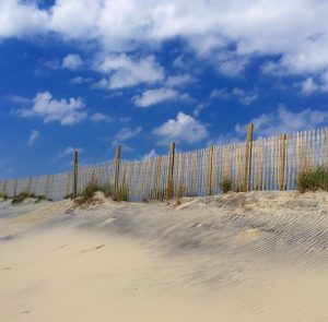 Amateur- Honorable Mention- Smart Device- Dunes by Heather Brooks Dunes