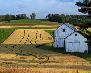 Amateur- Honorable Mention- Landscape & scenery- Work Around by Stephen Fair
