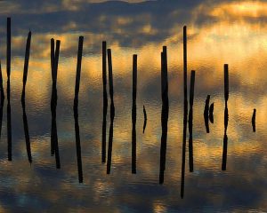 Amateur- Honorable Mention- Landscape & scenery- Reflection Sunset by Stephanie Lantham