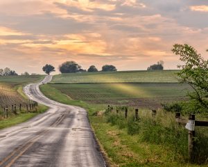 Amateur- Honorable Mention- Landscape & scenery- Lonley Road by Stephen Fair