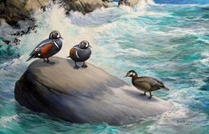 Harlequins by Robert Hines