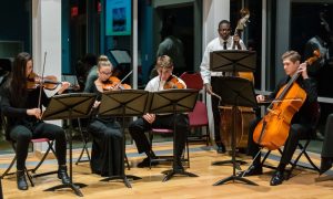 High School Orchestra Ensemble