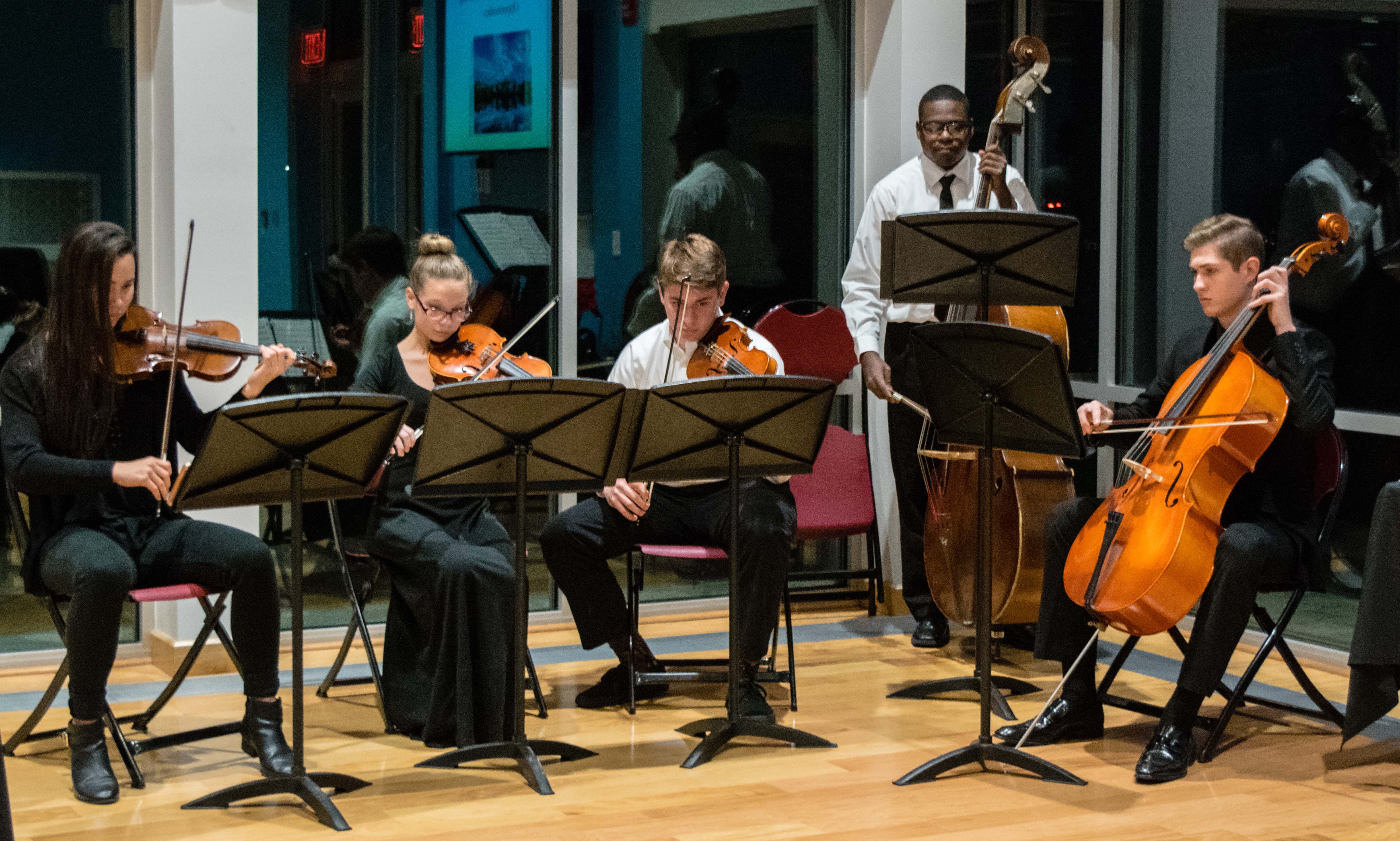 High School Orchestra Ensemble