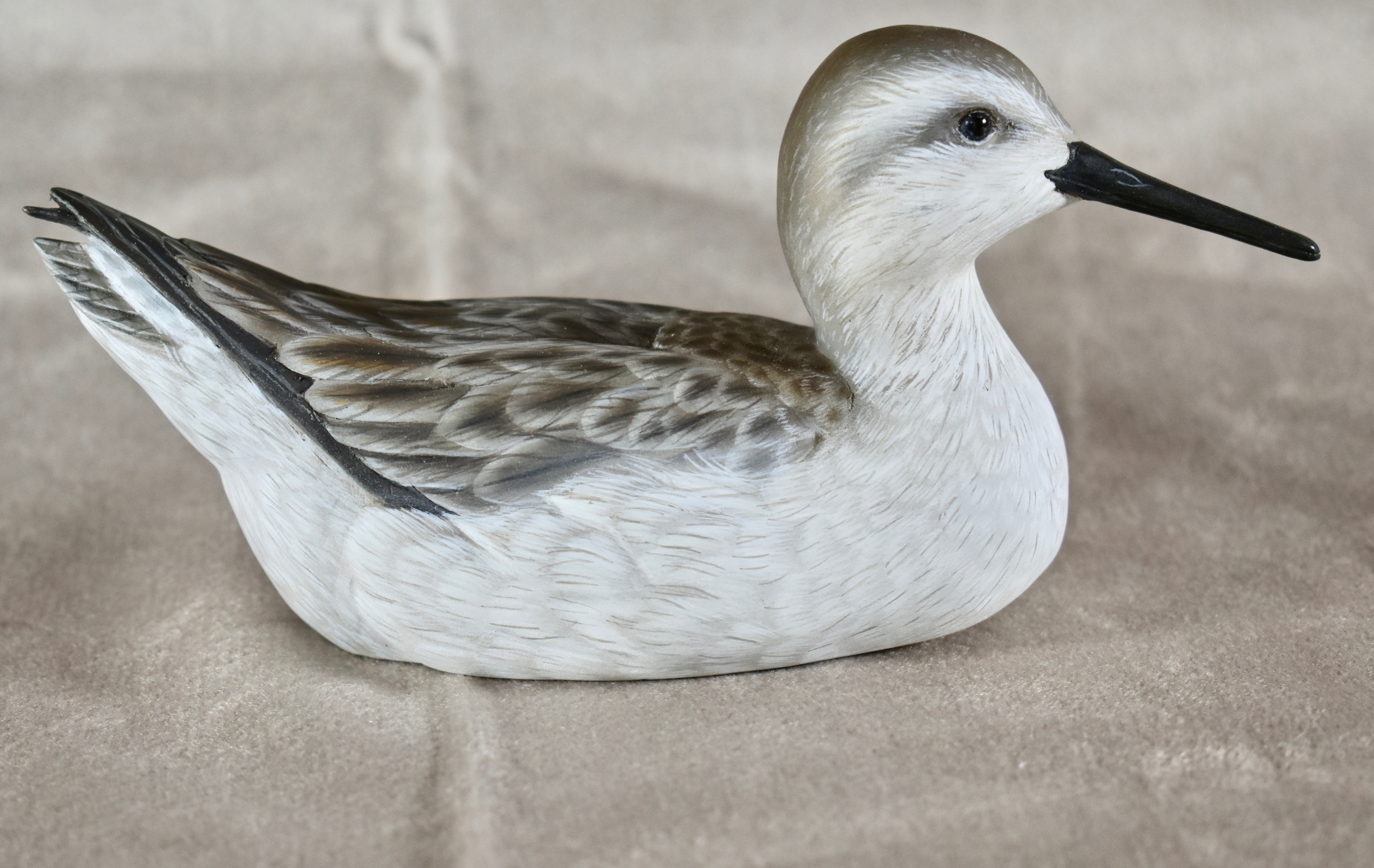 Miniature Wilson's Phalarope By Norm Wise