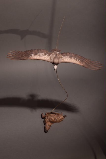 Griffon Vulture  by Jeff Krete