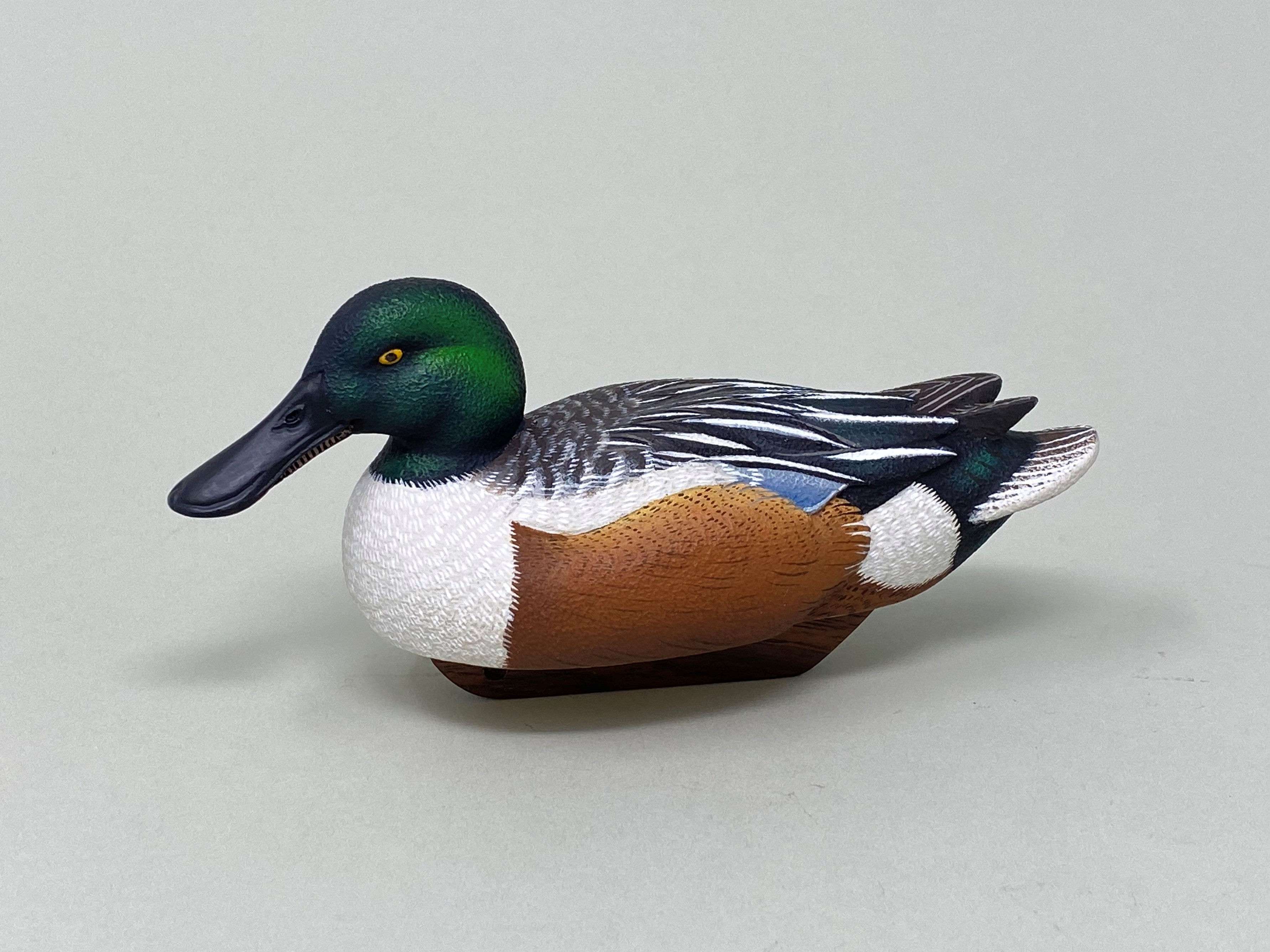 Miniature Shovler Drake By Tom Christie