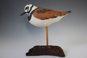 2021 Benefit Auction Item Ruddy Turnstone By Don Dunlap