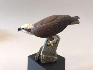 2021 Benefit Auction Item Minature Osprey Craving By Josh Guge Version 3