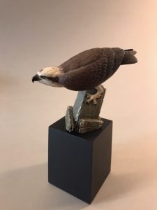2021 Benefit Auction Item Minature Osprey Craving By Josh Guge Version 1