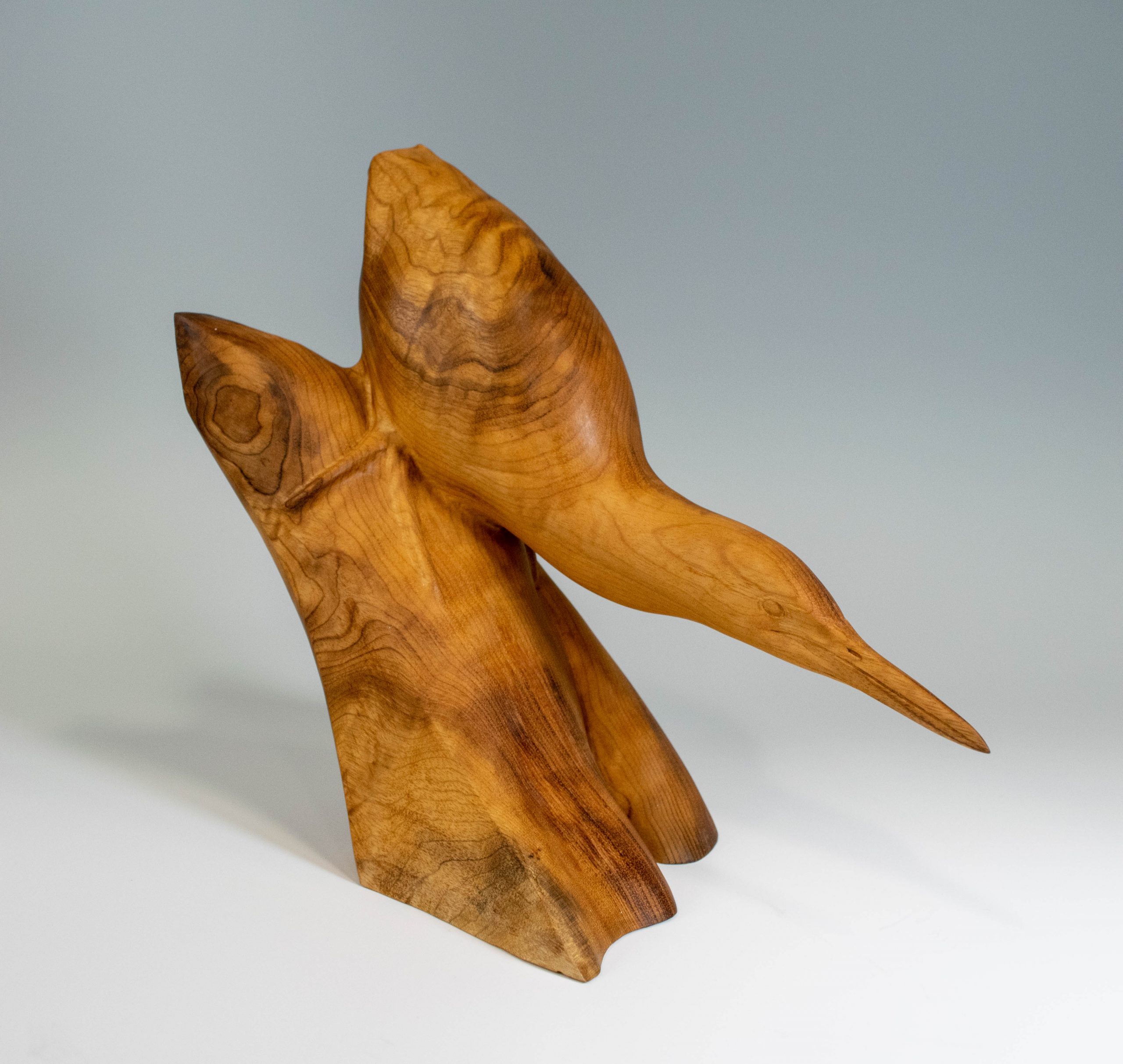 2021 Benefit Auction Item Least Bittern By Gary Eigenberger Version 2