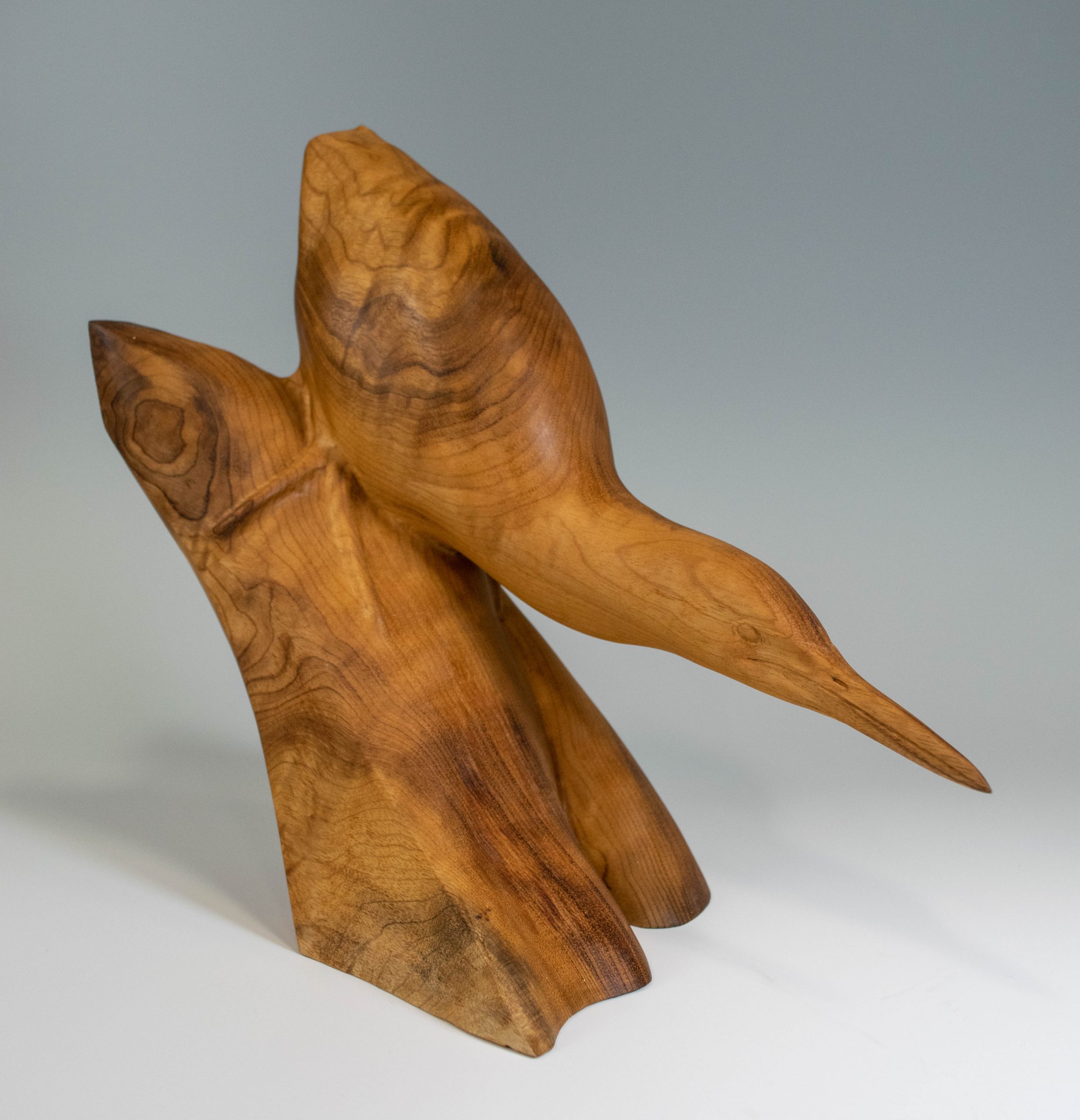 2021 Benefit Auction Item Least Bittern By Gary Eigenberger Version 1