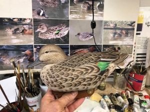 2021 Benefit Auction Item Green Wing Teal Hen By Anthony Donato
