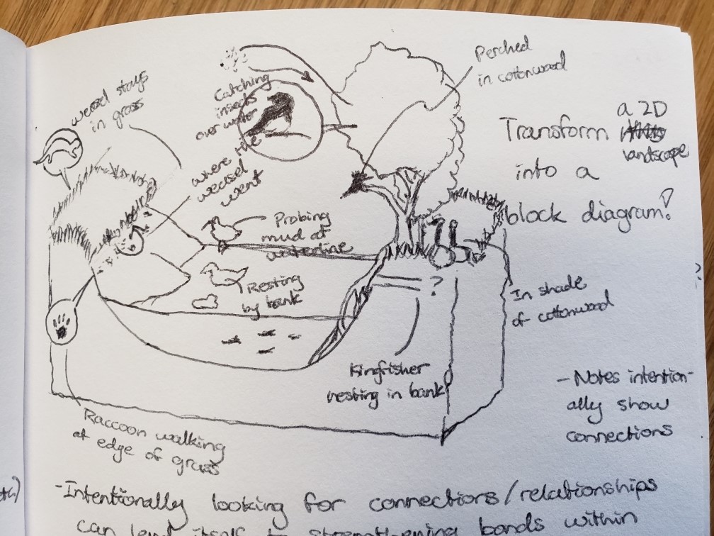 Brenda Nature Journal 3