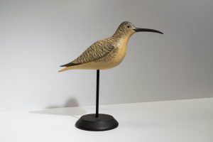 Curlew Contemporary