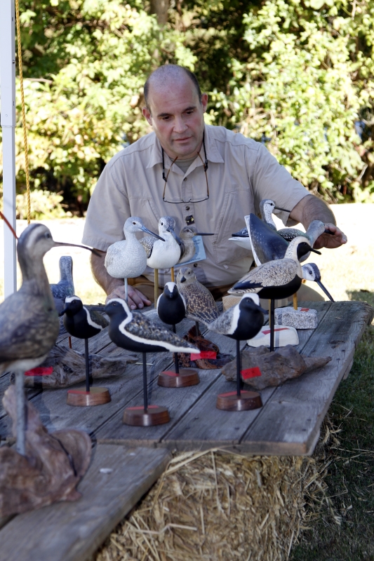 Chesapeake Challenge Palumbo Judging Shorebirds