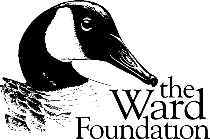 Black Ward Foundation Logo