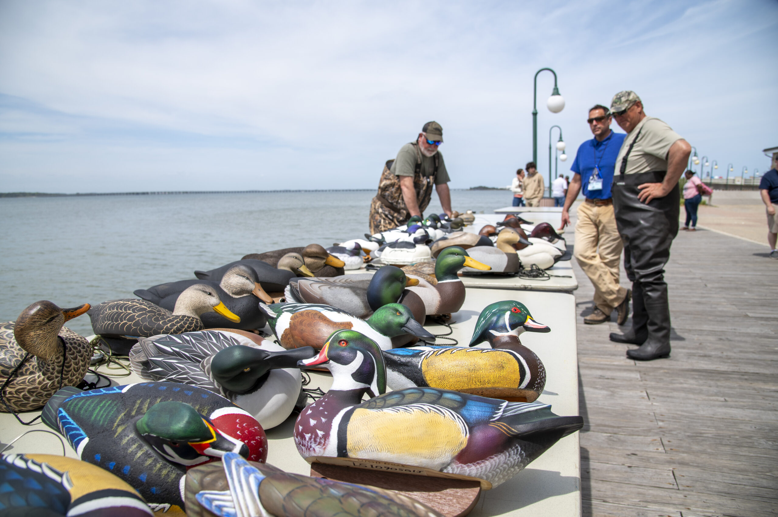 Worlds 2025 Bay Photo by Alan Wycheck