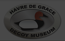 Screenshot 2025 02 20 At 3.43.14 pm