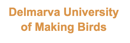 Screenshot 2025 02 20 At 3.33.11 pm