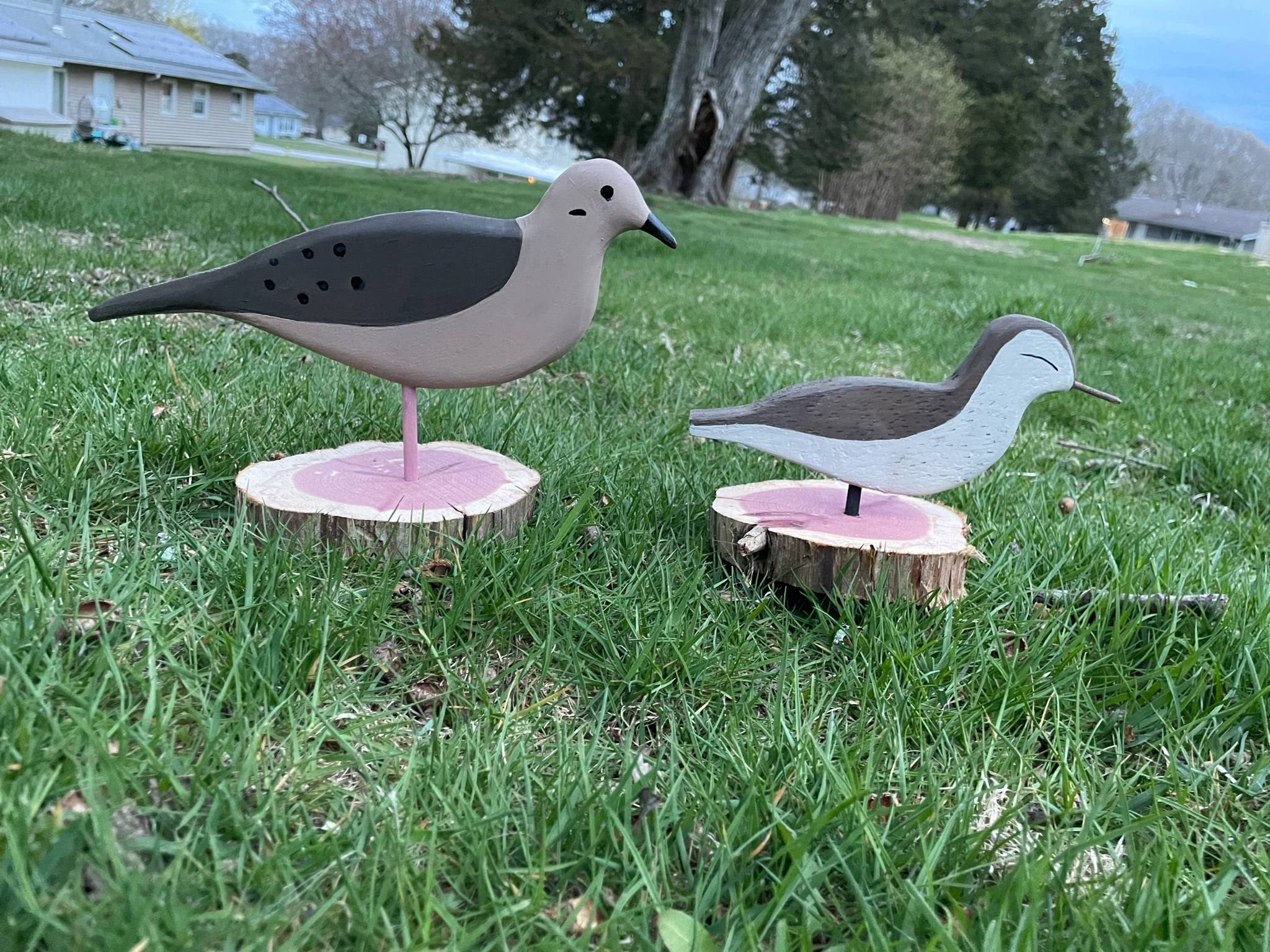 Peep And Dove