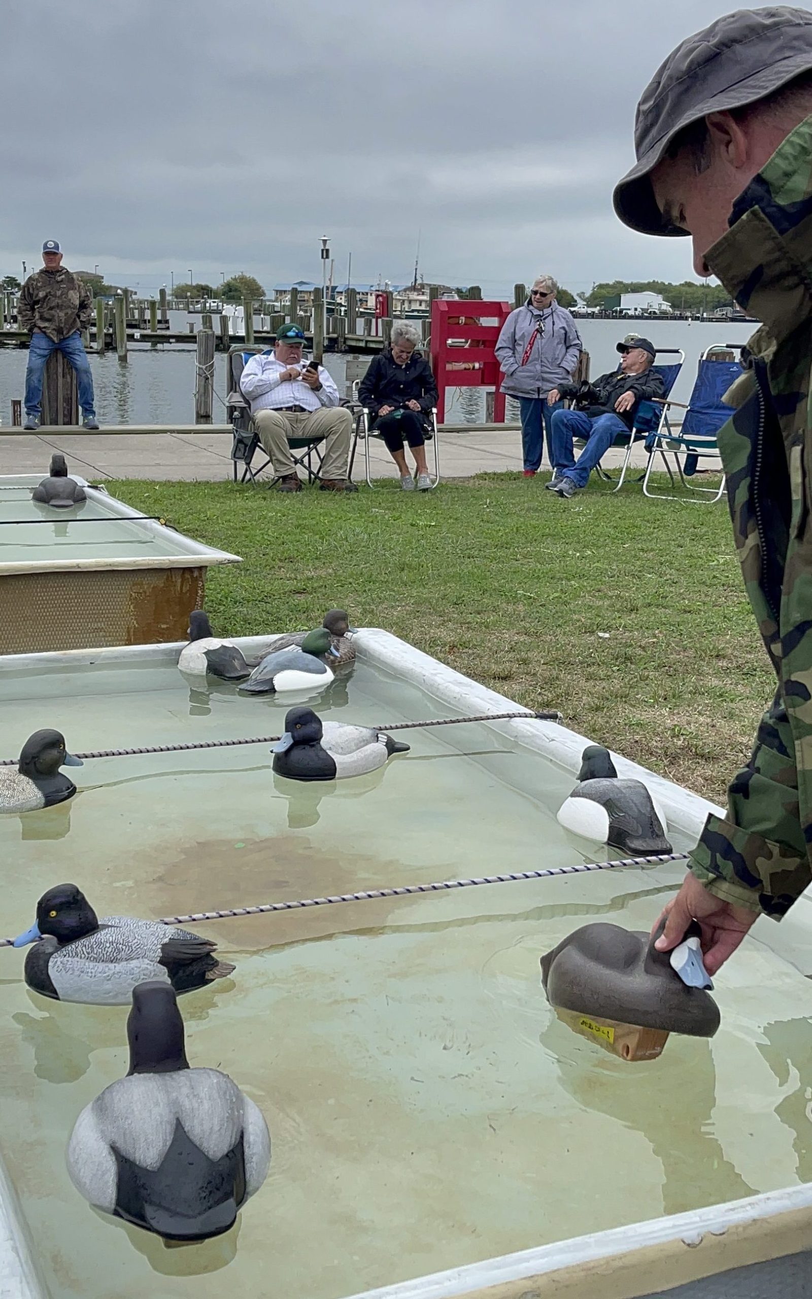 Img 2319 Edited 1 Scaled