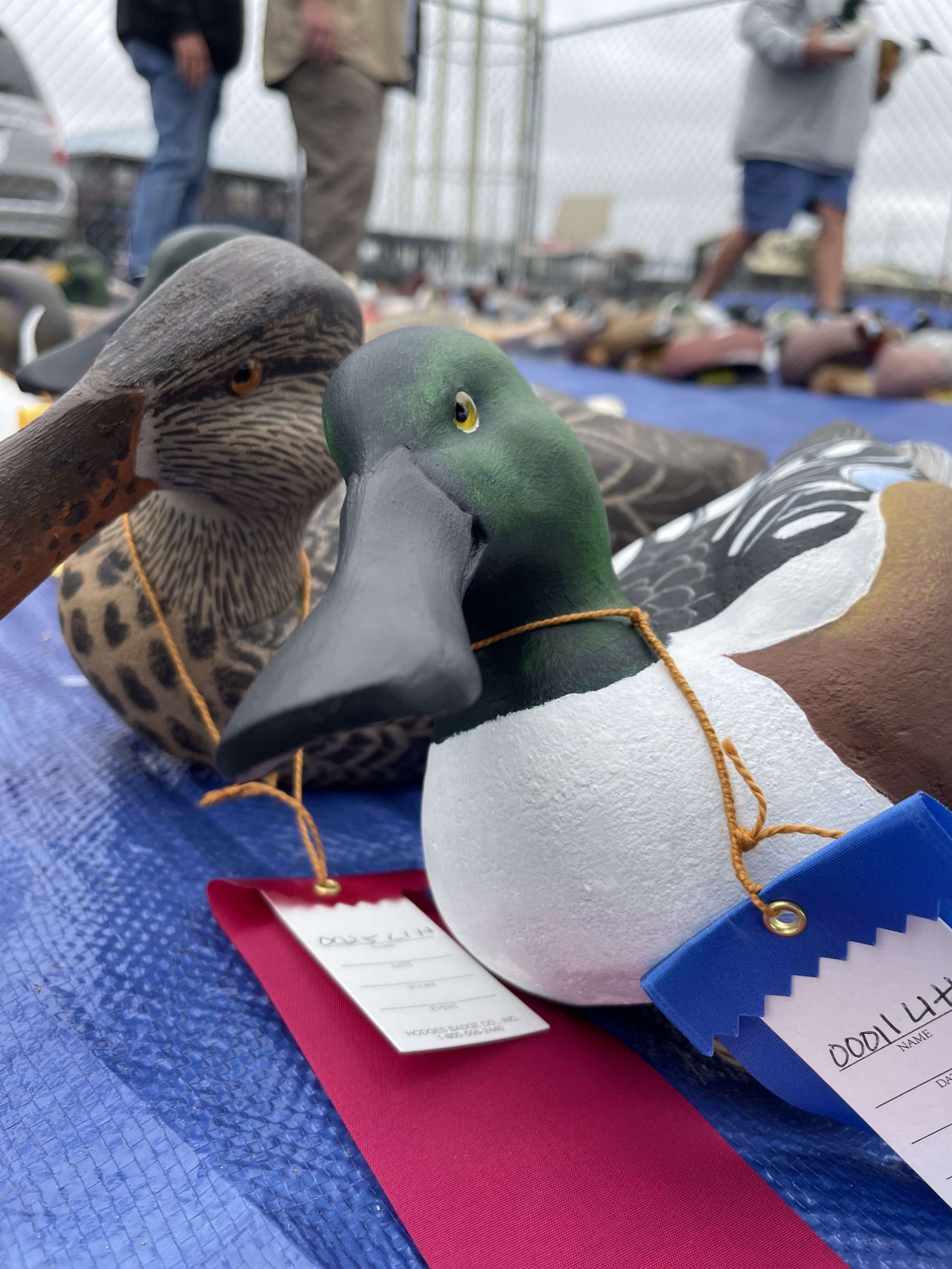 2023 Chesapeake Challenge Scaled