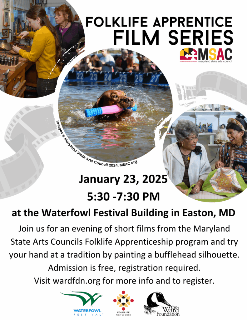 Msac Film 1