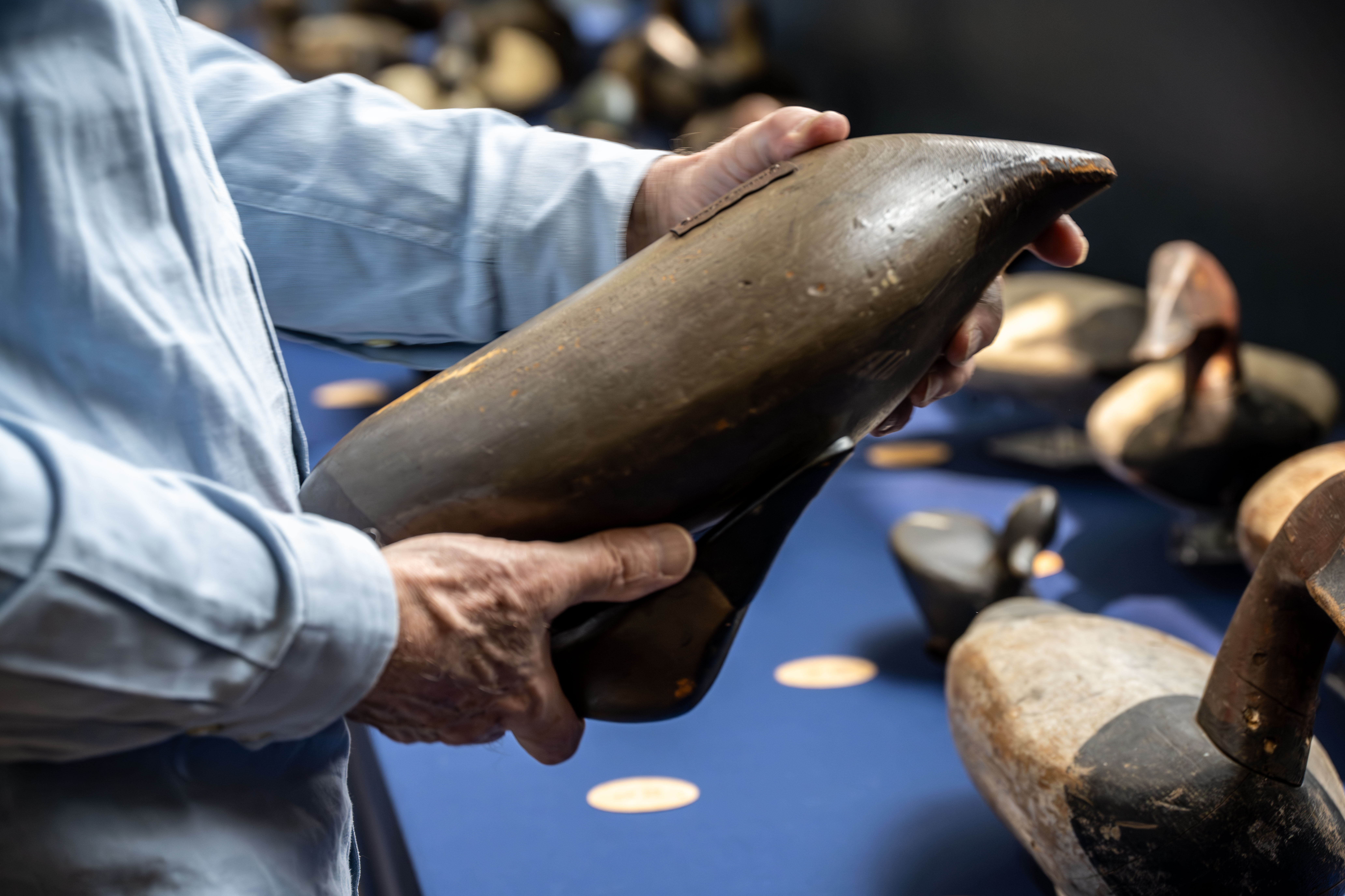 Old Bird June 1 2025 Pdca 40