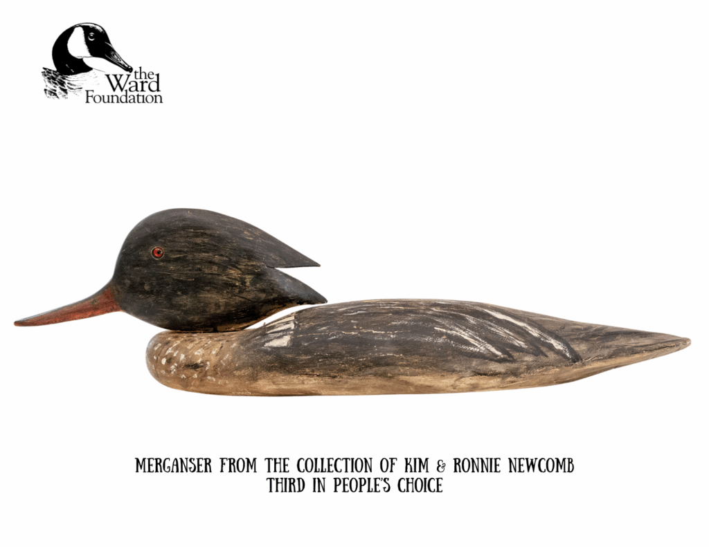 From the Newcomb Collection 3rd in Peoples Choice