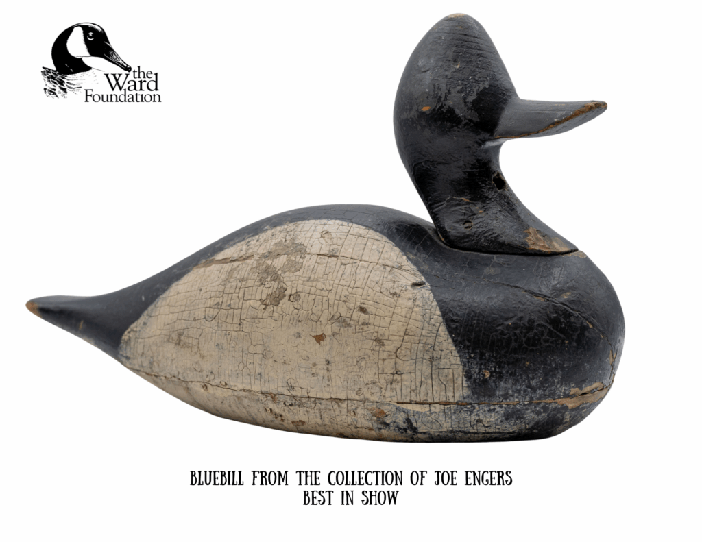 Joe Enger Collection Best in Show Old Birds