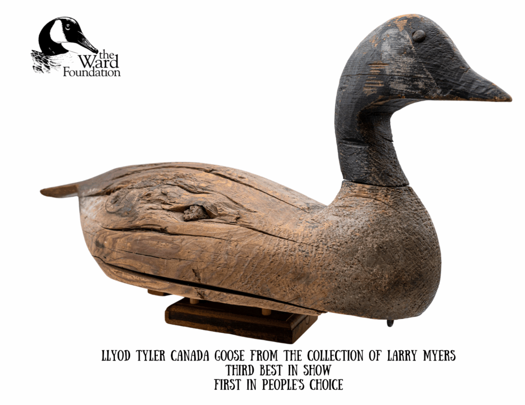 From the collection of Dr. Myers Third in Show