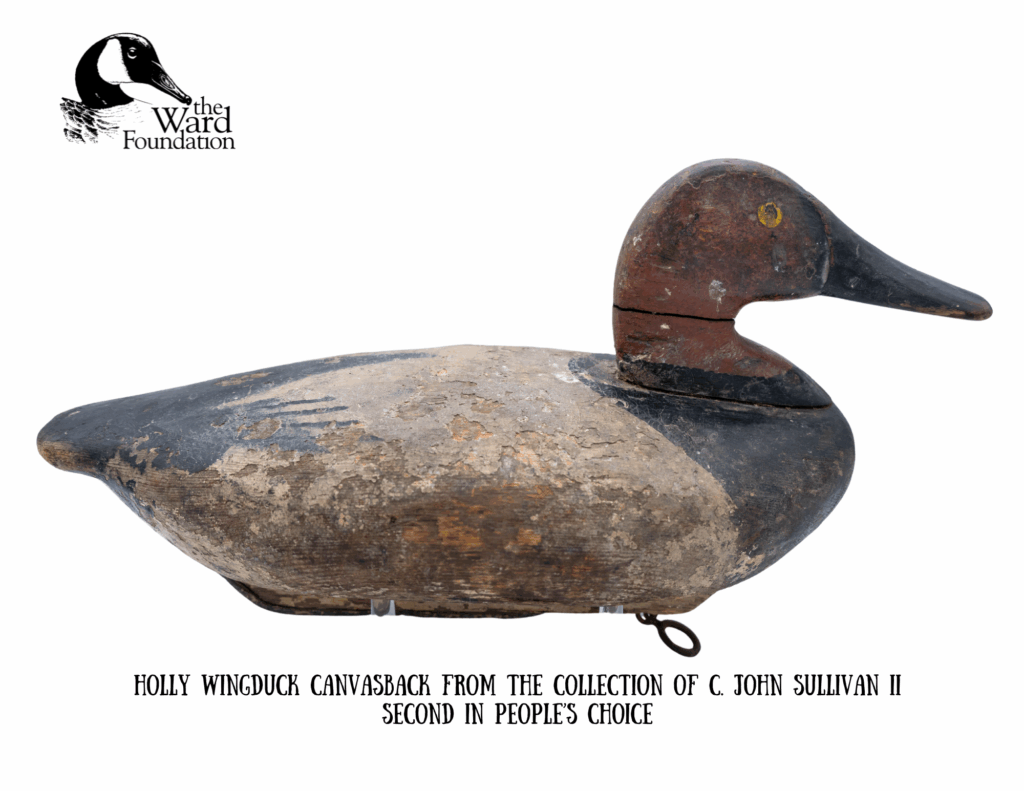 Second in People's Choice from C John Sullivan Collection