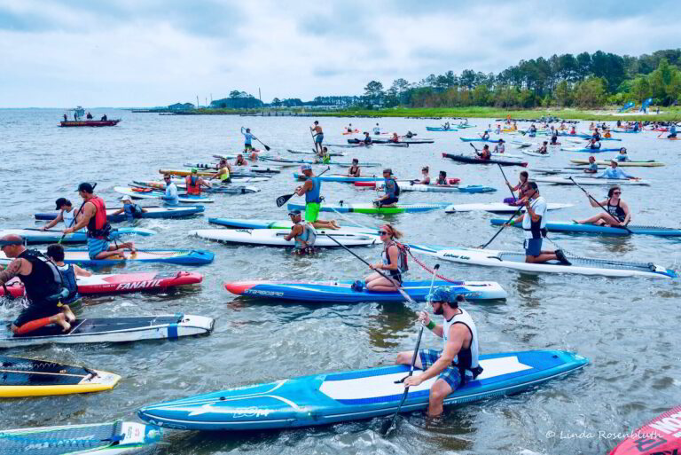 a large group of people on paddle boards in the water