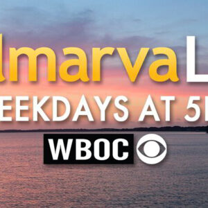 the words almaara live on a sunset background