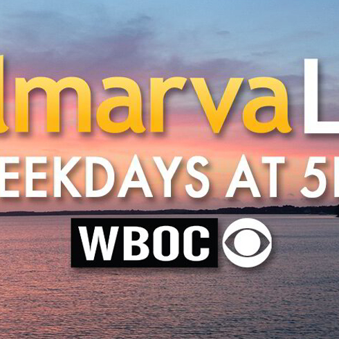 the words almaara live on a sunset background