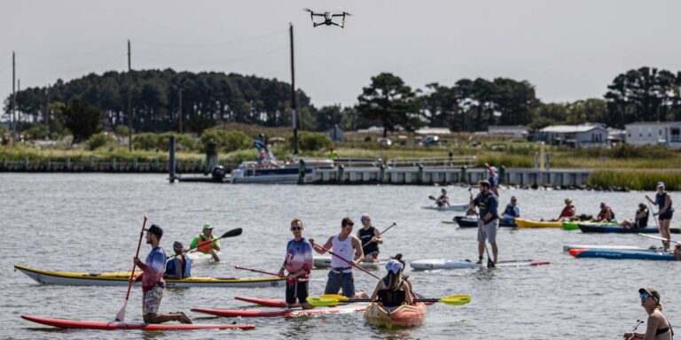 a group of people on paddle boards paddling in the water
