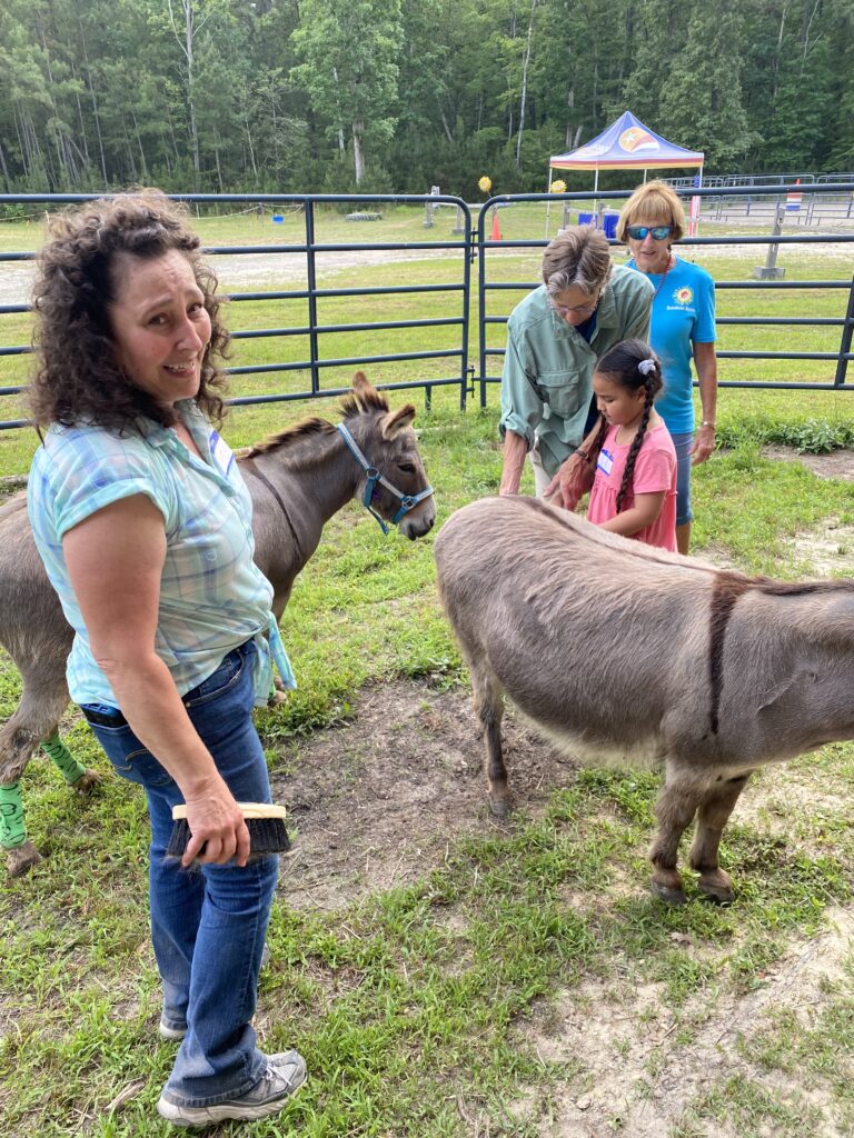 a woman standing next to a donkey in a field