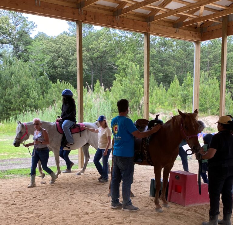 a group of people standing around a brown horse