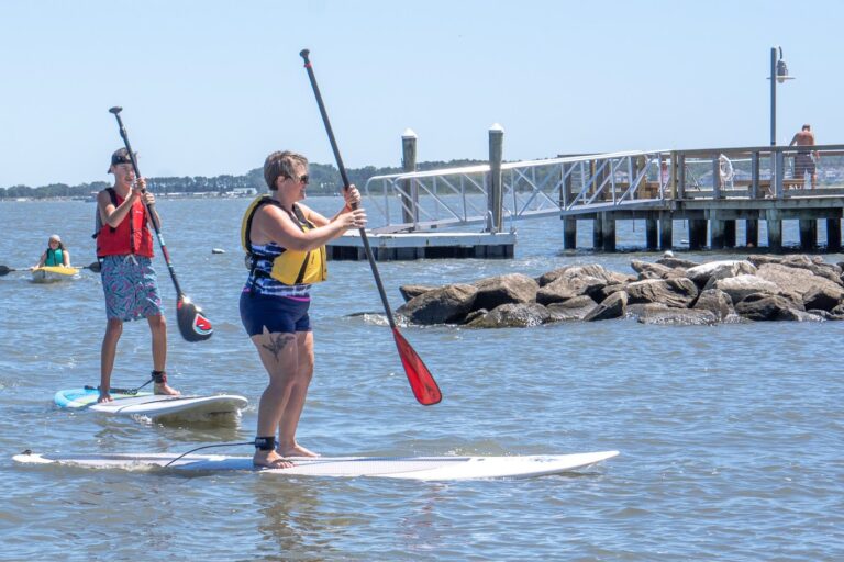 two people on paddle boards in the water