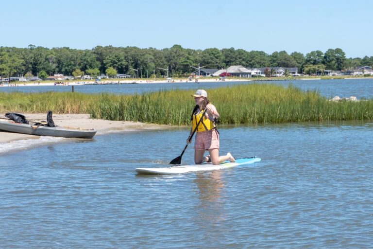 a person on a surf board in the water